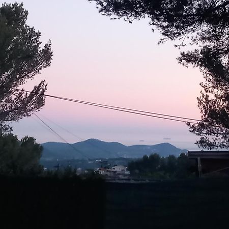 Mobilhome A Deux Pas Du Circuit Du Castellet Avec Terrasse Vue Mer Le Castellet  Esterno foto